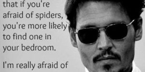 If you’re afraid of spiders…