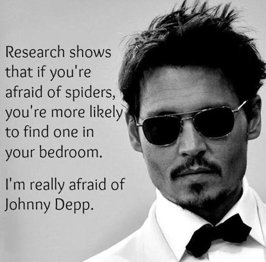 If you're afraid of spiders...
