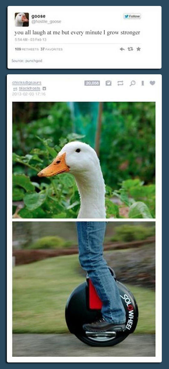 Goose is evolving...