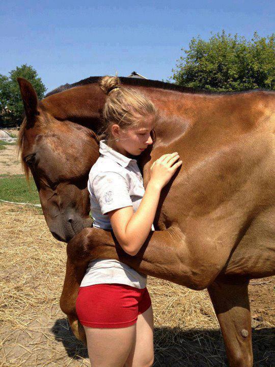 Horses need hugs too.