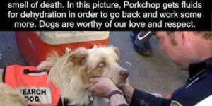 Porkchop Deserves A Big Hug