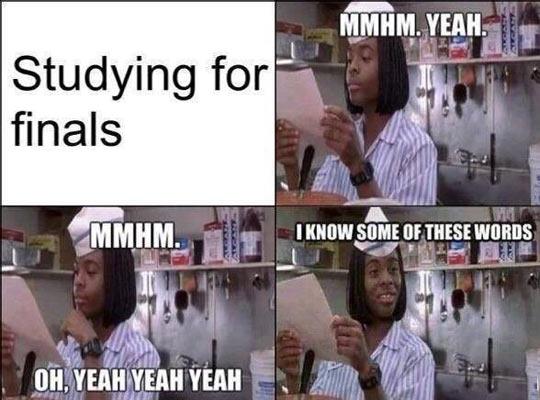 Every Time I Study For Finals
