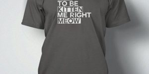 Are you kitten me right meow?