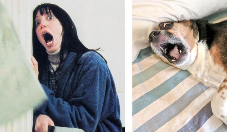 Shelley Duvall lookalike.