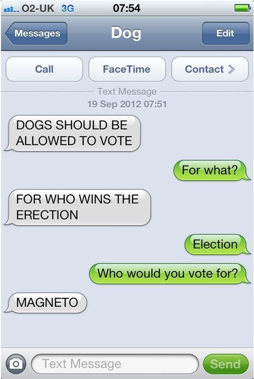 Dogs should be allowed to vote.