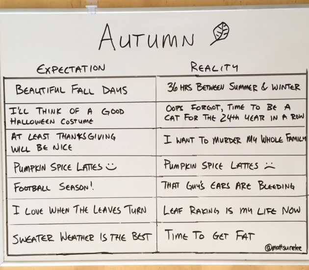 Autumn expectations vs reality