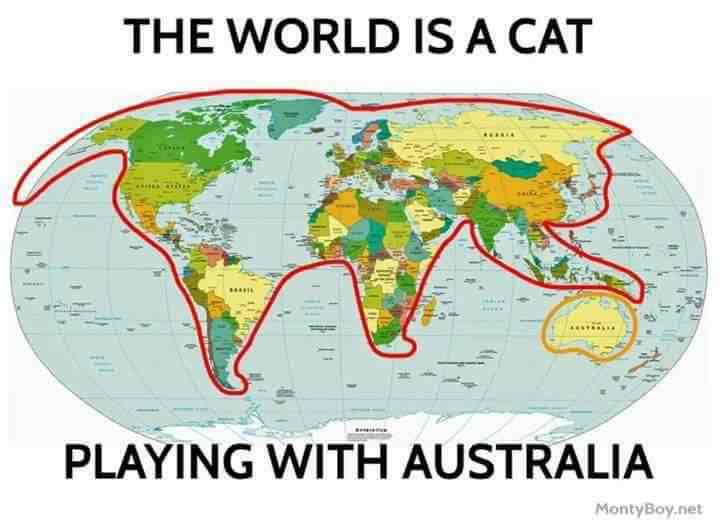 Cat earthers.