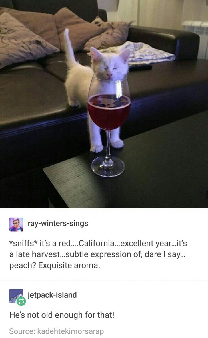 Amateur sommelier picks up a hint of cat piss.