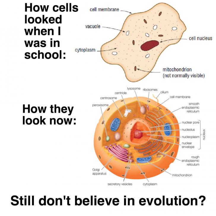 Cellular evolution