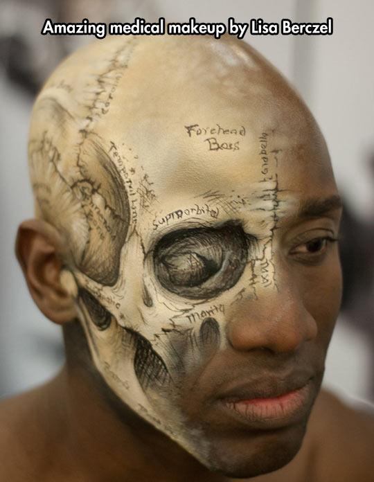 Anatomical makeup.