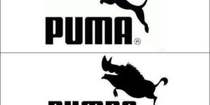 I wear Pumba.