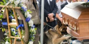 K9 officer saying goodbye to his partner.