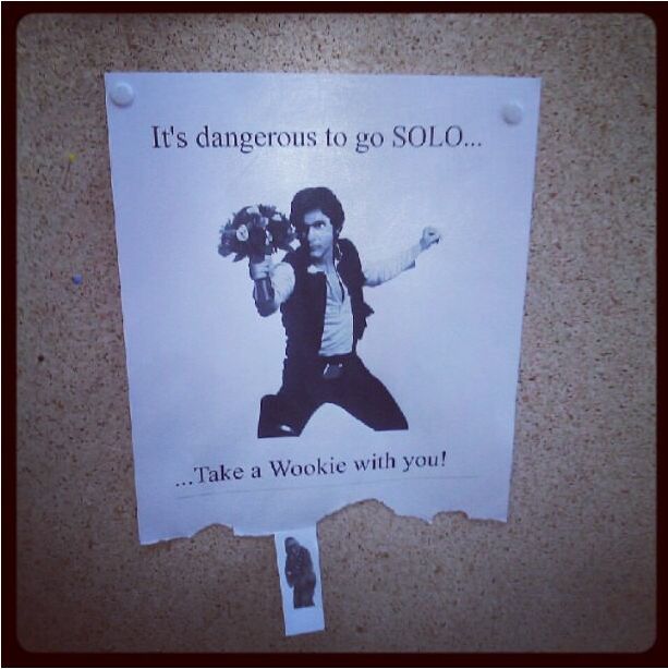 It s Dangerous To Go SOLO Take A Wookie With You 