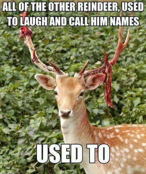 Rudolf is sick of your crap...