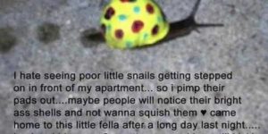 Save the snails!