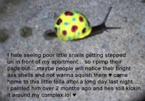 Save the snails!