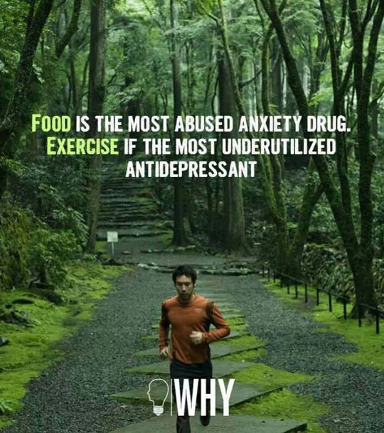 Food vs Exercise