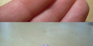 Tiny origami