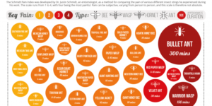 Schmidt Sting Pain Index