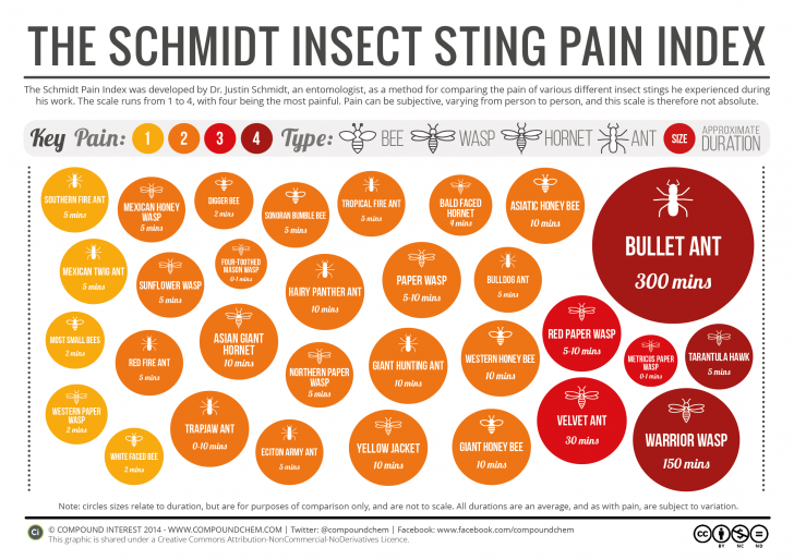 Schmidt Sting Pain Index
