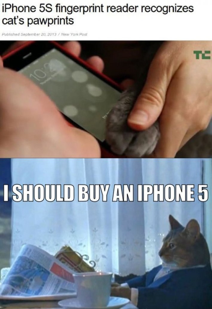 I should buy an iPhone 5