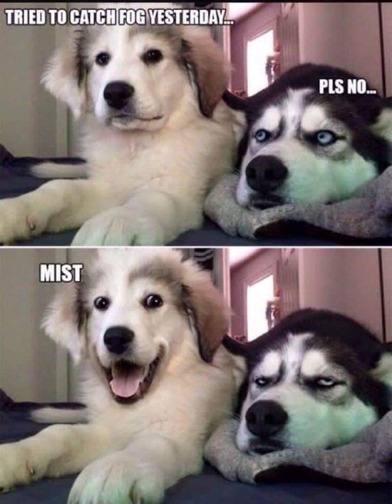 Dog jokes.