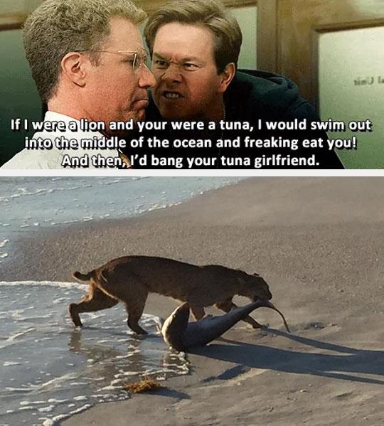 If I were a lion and you were a tuna...