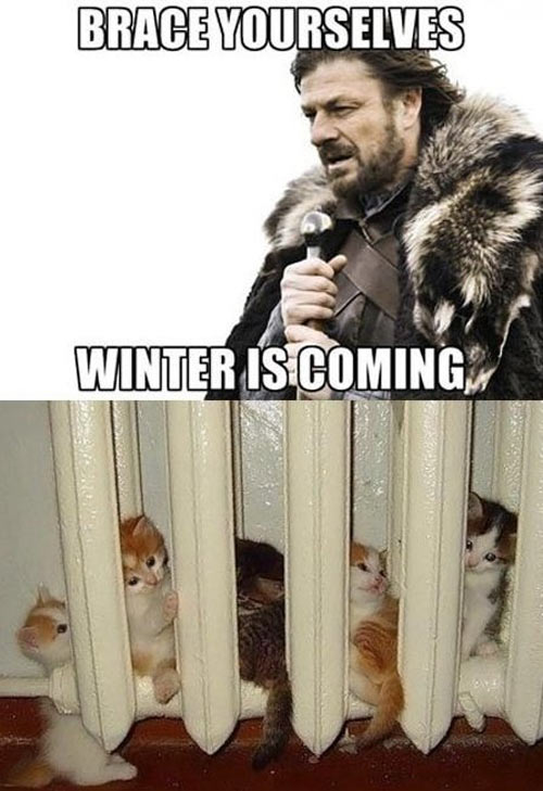 Brace yourselves!