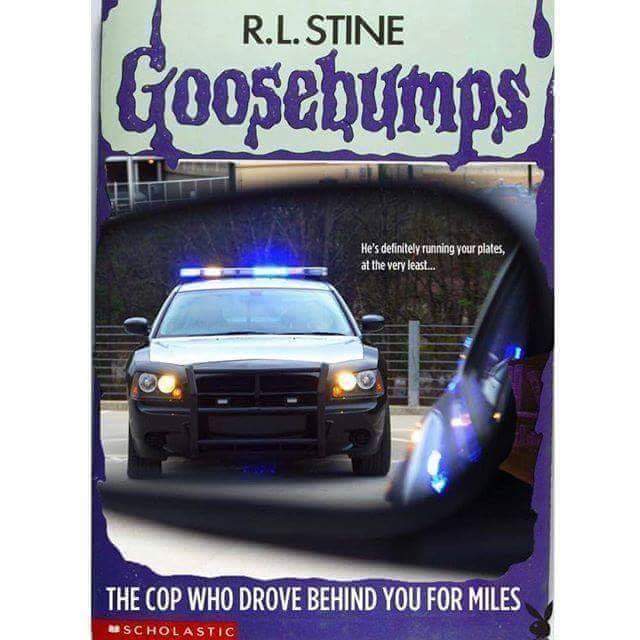 R.L. Stine new release just in time for October spooks.