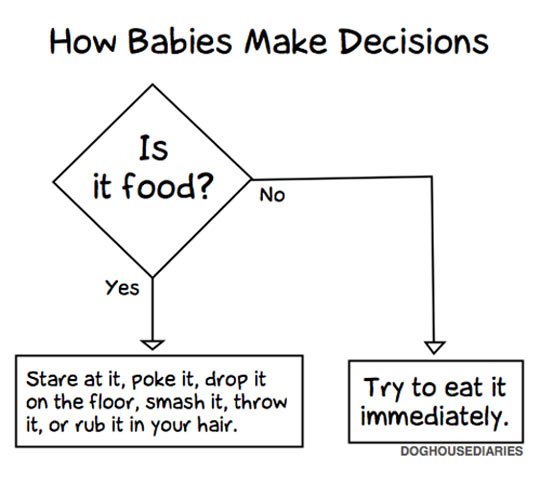 How babies make decisions.