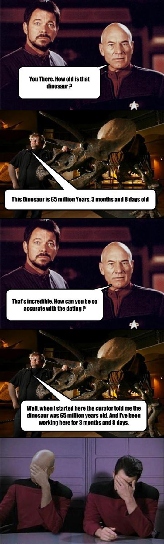 How old is that dinosaur?