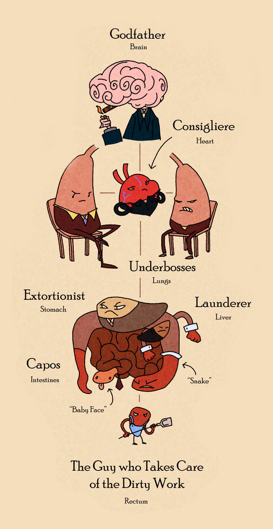 The important roles of body parts