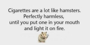 Comparing Cigarettes With Hamsters