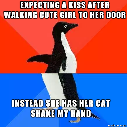 it was a cool cat, but still not sure why that happened...