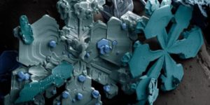 Snowflakes under electron microscope.