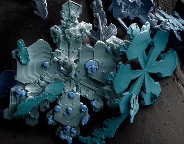 Snowflakes under electron microscope.