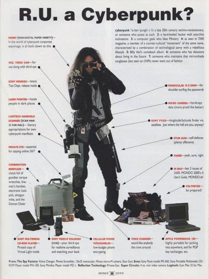 1991 Cyberpunk