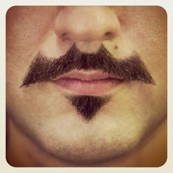 Bat-stache.