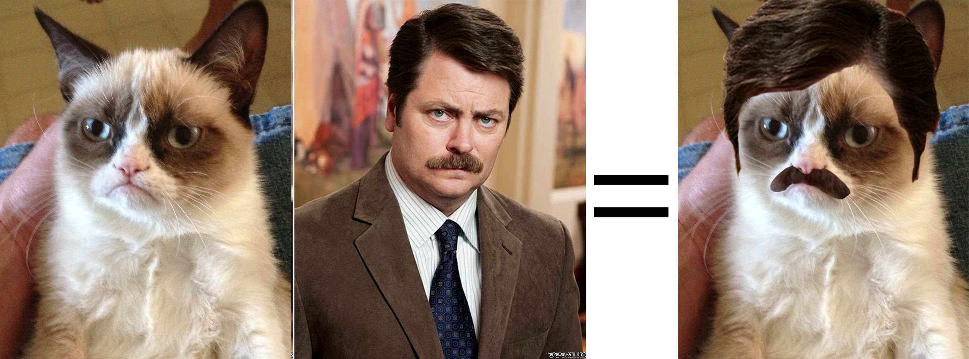 Uncanny, Ron Swanson.