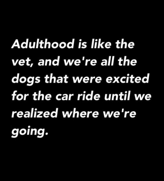 Adulthood.