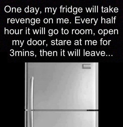One day my fridge will take revenge.