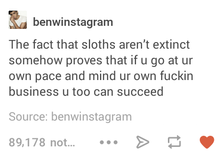 Sloths are alive and well