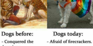 Dogs – A History