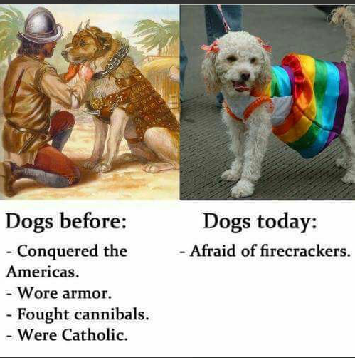 Dogs - A History