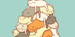 What do you call a pile of cats?