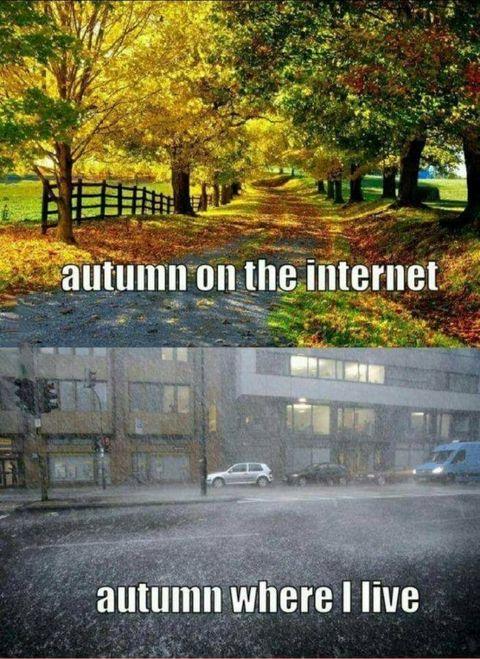 Autumn ain't so beautiful