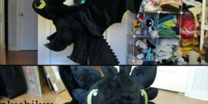 Toothless costume!