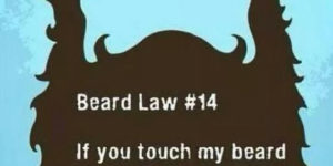 Beard+law