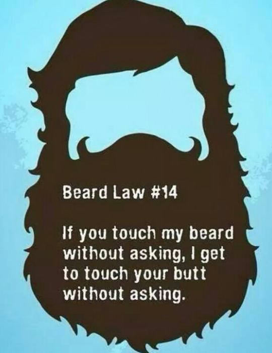 Beard law
