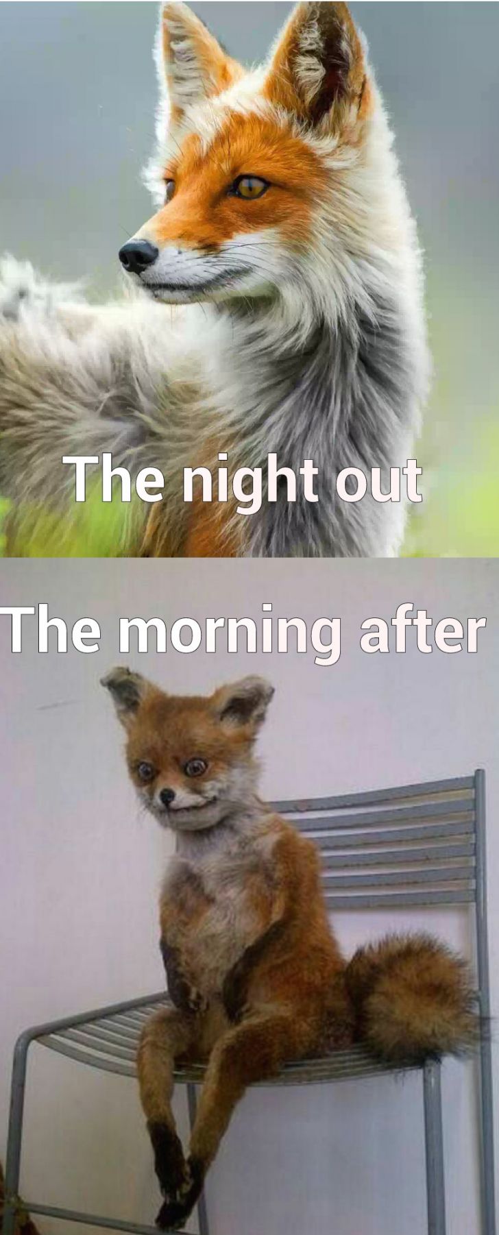 The night out Vs The morning after
